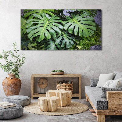 Green Monstera Leaves in Nature Canvas Wall art