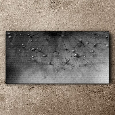 Dew drops on a dandelion Canvas Wall art