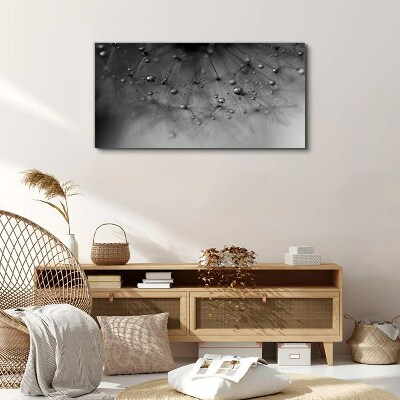 Dew drops on a dandelion Canvas Wall art