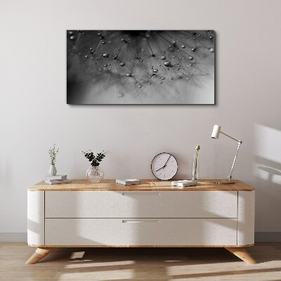 Dew drops on a dandelion Canvas Wall art