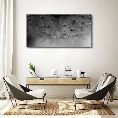 Dew drops on a dandelion Canvas Wall art
