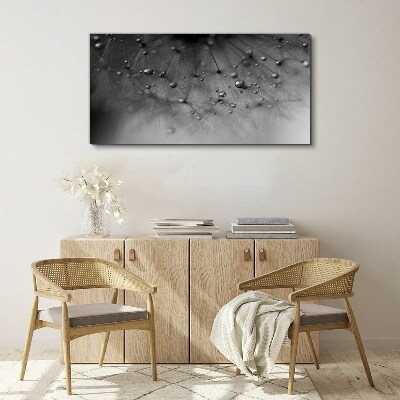 Dew drops on a dandelion Canvas Wall art