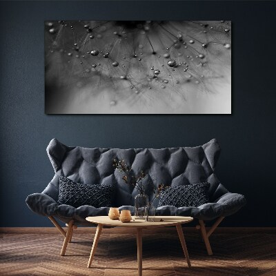 Dew drops on a dandelion Canvas Wall art