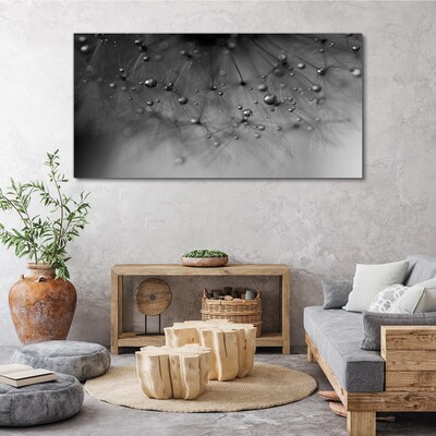 Dew drops on a dandelion Canvas Wall art