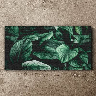 Green Symphony of Leaves Canvas Wall art