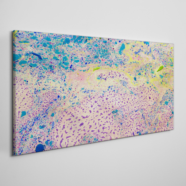 Colorful chaos of abstraction Canvas Wall art