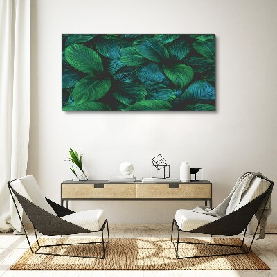 Flower leaves plant Canvas Wall art