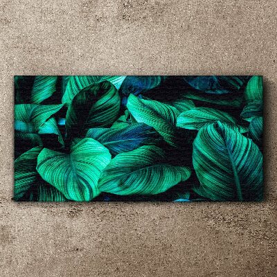 Flower leaves plant Canvas Wall art