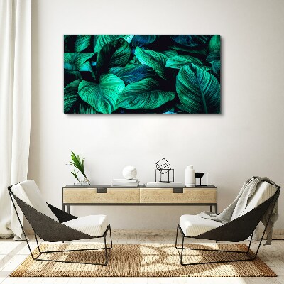 Flower leaves plant Canvas Wall art