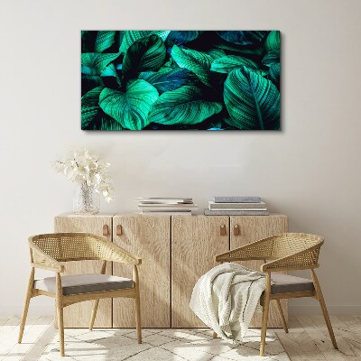 Flower leaves plant Canvas Wall art