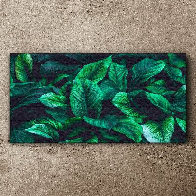 Flower leaves plant Canvas Wall art