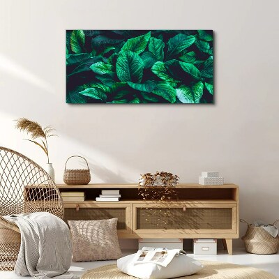 Flower leaves plant Canvas Wall art