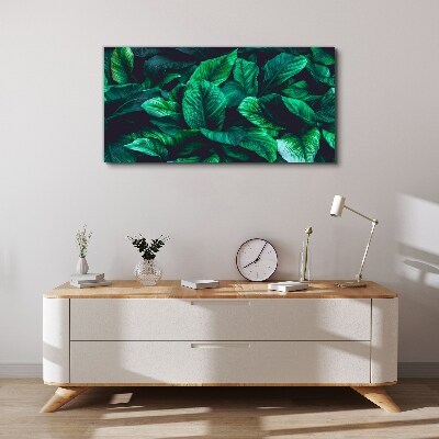 Flower leaves plant Canvas Wall art