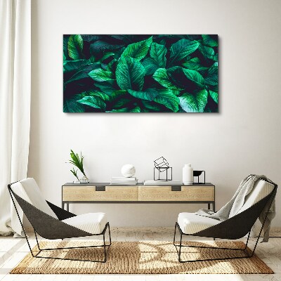 Flower leaves plant Canvas Wall art