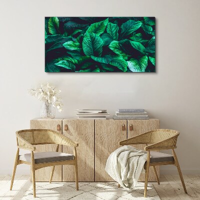 Flower leaves plant Canvas Wall art