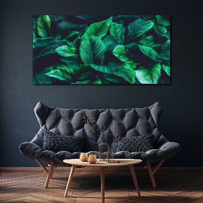 Flower leaves plant Canvas Wall art