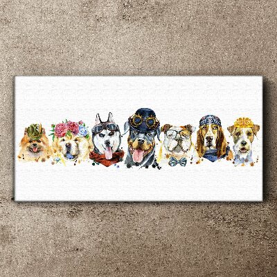 Dogs in fashionable accessories Canvas Wall art