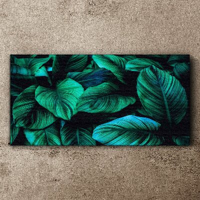 Green tropical leaves Canvas Wall art