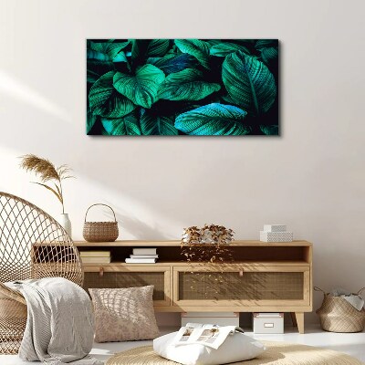 Green tropical leaves Canvas Wall art