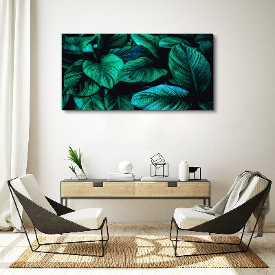 Green tropical leaves Canvas Wall art