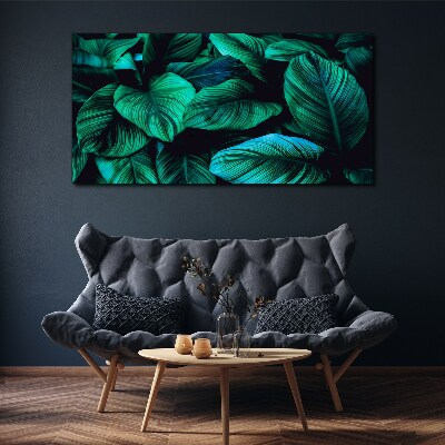 Green tropical leaves Canvas Wall art