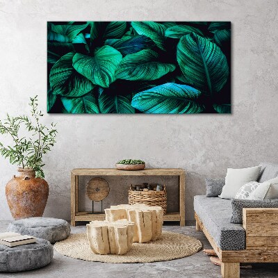 Green tropical leaves Canvas Wall art