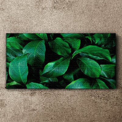 Green Symphony of Leaves Canvas Wall art