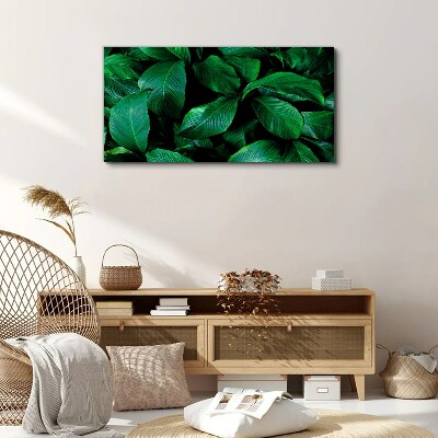 Green Symphony of Leaves Canvas Wall art