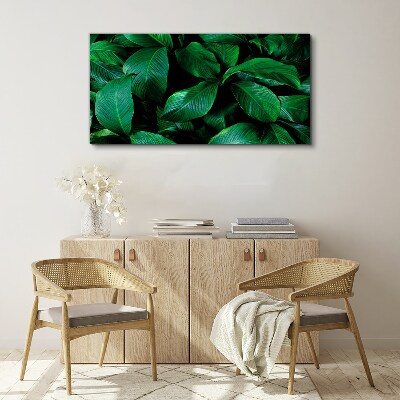 Flower leaves plant Canvas Wall art