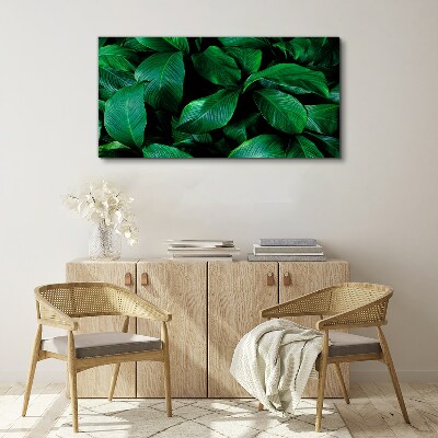 Green Symphony of Leaves Canvas Wall art