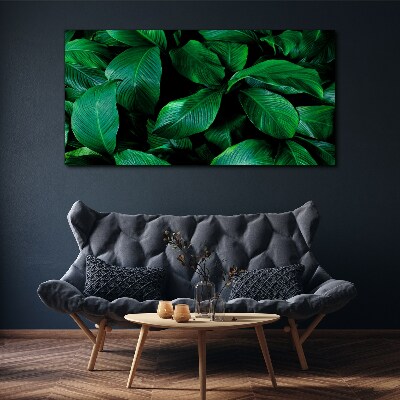 Flower leaves plant Canvas Wall art