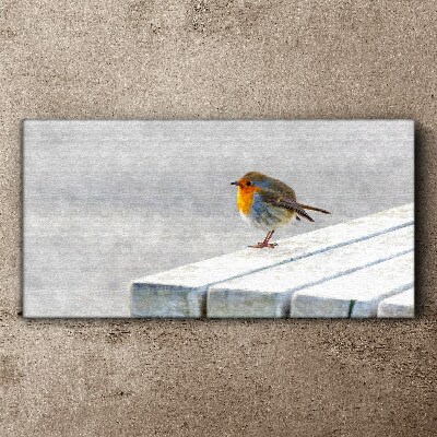 Robin on a white board Canvas Wall art