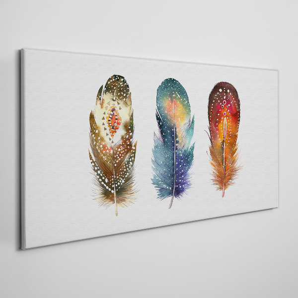 Colorful Feathers Canvas Wall art