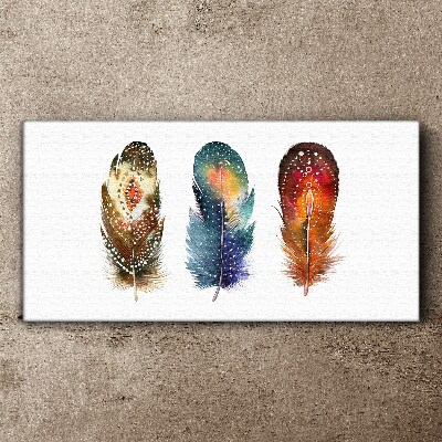 Colorful Feathers Canvas Wall art