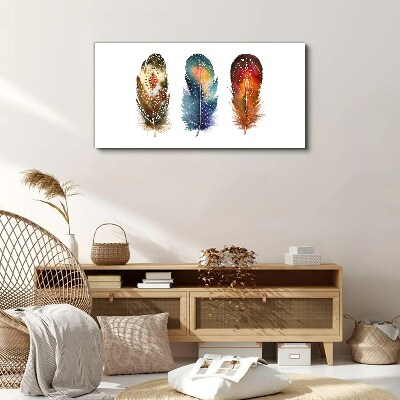 Colorful Feathers Canvas Wall art
