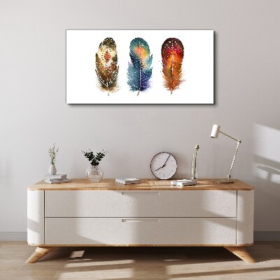 Colorful Feathers Canvas Wall art