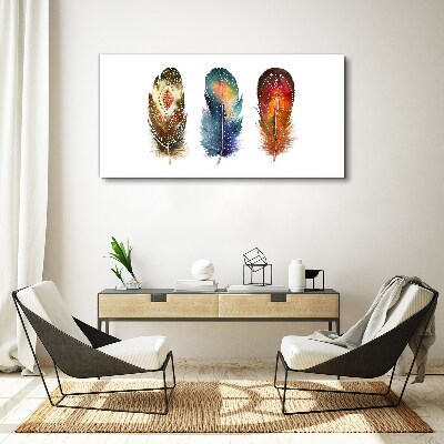 Colorful Feathers Canvas Wall art
