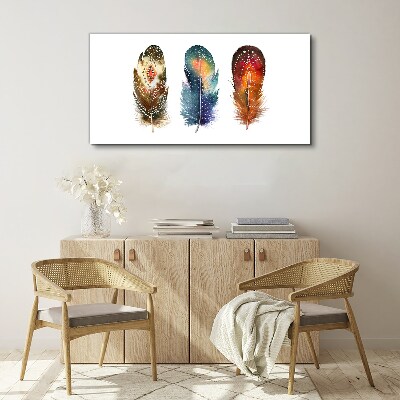 Colorful Feathers Canvas Wall art