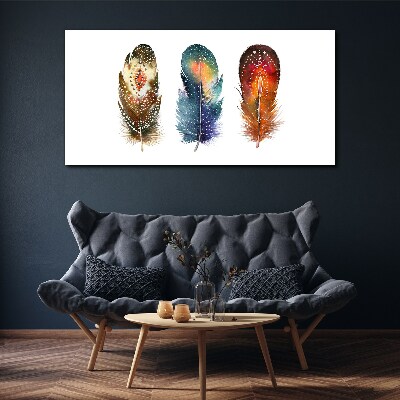 Colorful Feathers Canvas Wall art