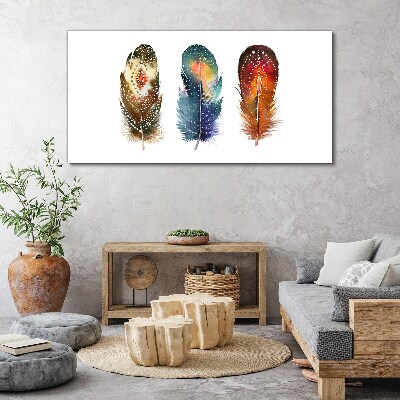 Colorful Feathers Canvas Wall art