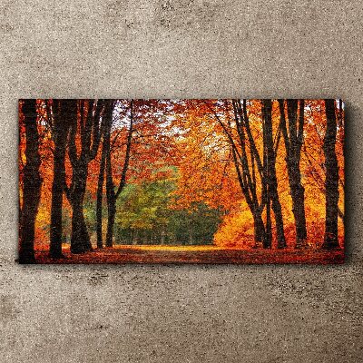 Autumn tree alley Canvas Wall art