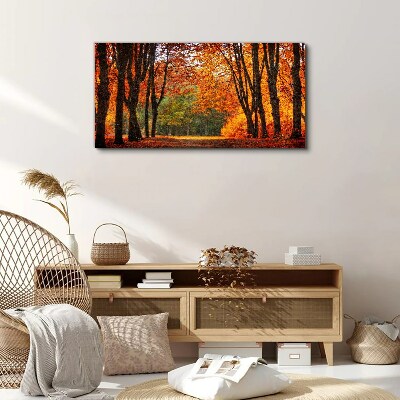 Autumn tree alley Canvas Wall art