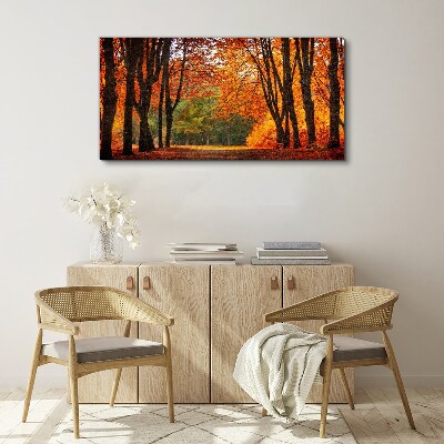 Autumn forest nature Canvas Wall art