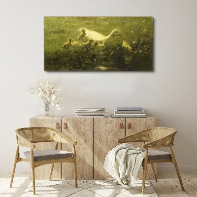 Animals duck grass nature Canvas Wall art