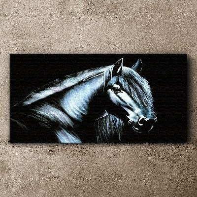 A dark horse in the glow of light Canvas Wall art