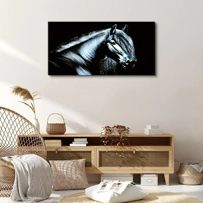 A dark horse in the glow of light Canvas Wall art