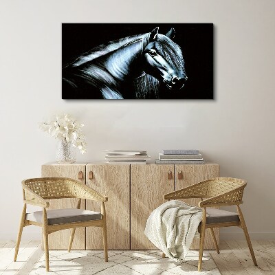 A dark horse in the glow of light Canvas Wall art