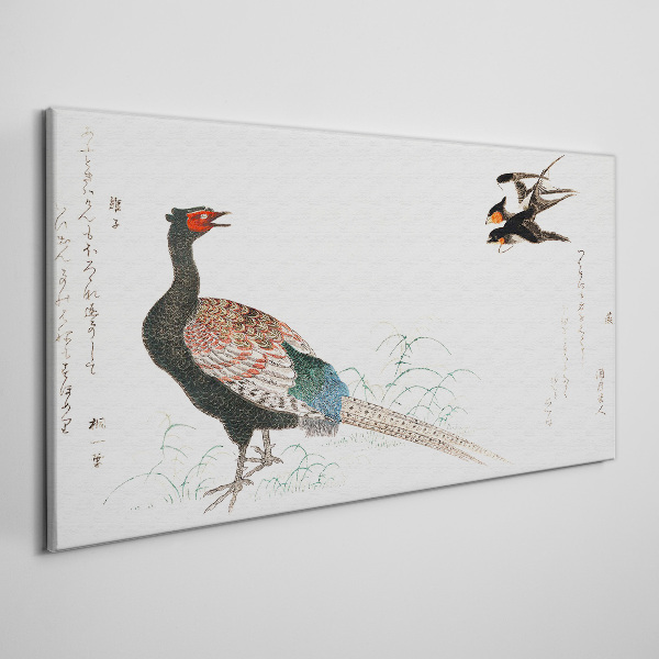 Peacock dance in spring landscape Canvas Wall art