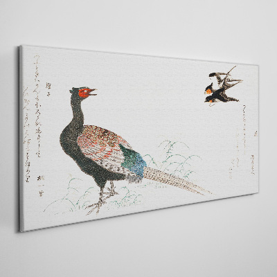 Peacock dance in spring landscape Canvas Wall art