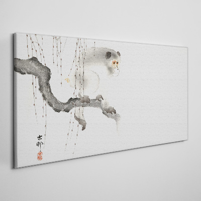 Master Monkey on a Branch Canvas Wall art